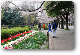 府中の森公園