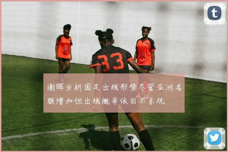 谢晖分析国足出线形势尽管亚洲名额增加但出线概率依旧不乐观